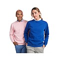 Batian unisex crewneck sweater