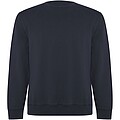 Batian unisex crewneck sweater