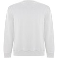 Batian unisex crewneck sweater
