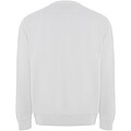 Batian unisex crewneck sweater