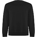 Batian unisex crewneck sweater