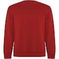 Batian unisex crewneck sweater