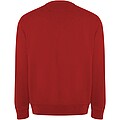 Batian unisex crewneck sweater