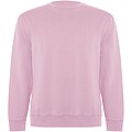 Batian unisex crewneck sweater