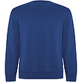 Batian unisex crewneck sweater