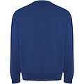Batian unisex crewneck sweater