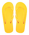 beach slippers
