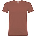 Beagle short sleeve kids t-shirt, brick red