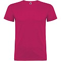 Beagle short sleeve kids t-shirt