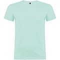 Beagle short sleeve mens t-shirt