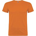 Beagle short sleeve mens t-shirt
