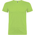 Beagle short sleeve mens t-shirt