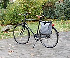 Bicycle backpack
