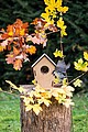 Bird house ECO HOME