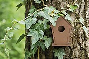 Bird house