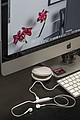 Bluetooth earphones