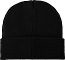 Boreas beanie with patch