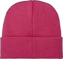 Boreas beanie with patch