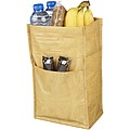 Brown Paper Bag Cooler