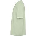 Bull short sleeve unisex oversized t-shirt, mist green