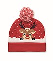 Christmas knitted beanie
