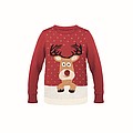 Christmas sweater in Acrylic