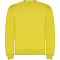 Clasica kids crewneck sweater
