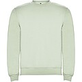 Clasica unisex crewneck sweater, mist green