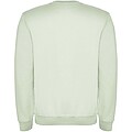 Clasica unisex crewneck sweater, mist green
