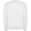 Clasica unisex crewneck sweater