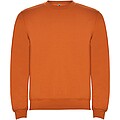 Clasica unisex crewneck sweater