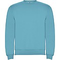 Clasica unisex crewneck sweater