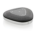 Conference call speaker
