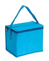 Cooler bag 