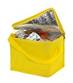 Cooler bag 