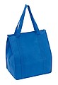 Cooler bag 