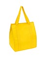 Cooler bag 