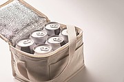 Cooler bag for 6 cans