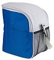 Cooler bag 