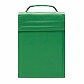 Cooler bag 