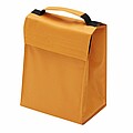 Cooler bag 