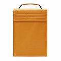 Cooler bag 