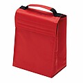 Cooler bag 