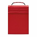 Cooler bag 