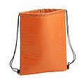cooler bag
