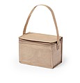 cooler bag