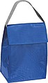 Cooler Bag
