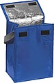 Cooler Bag