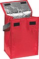 Cooler Bag