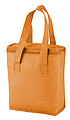 cooler bag